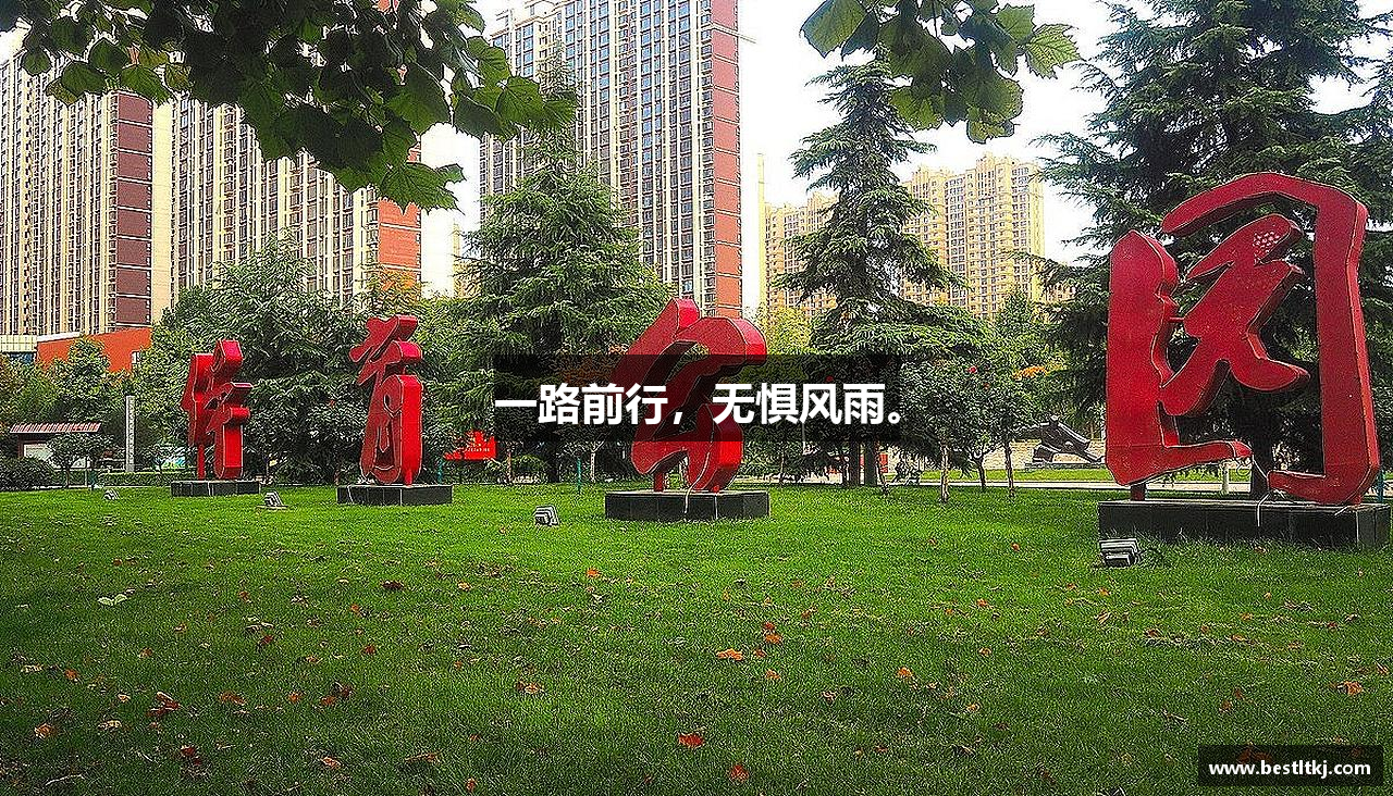 一路前行，无惧风雨。
